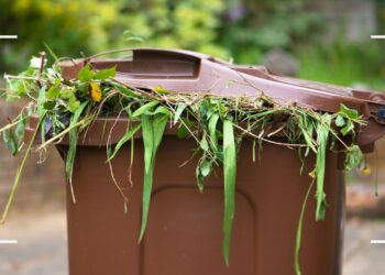 Which Garden Waste Items Should Never Be Burned?