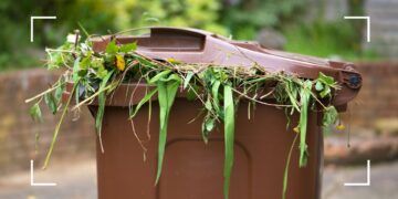 Which Garden Waste Items Should Never Be Burned?
